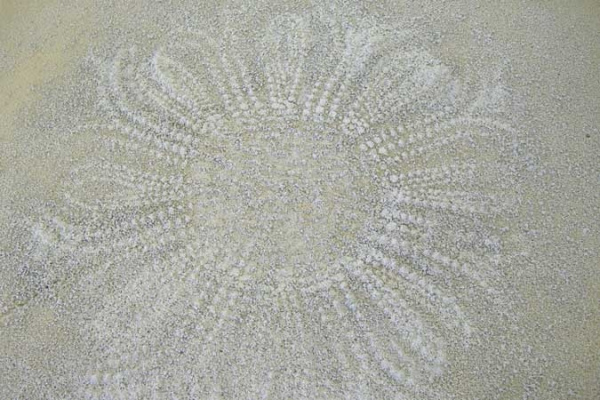 Sanding-Print-10